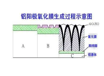 萝卜视频免费下载看片硬质阳极氧化膜生成过程 萝卜视频免费下载看片硬质阳极氧化膜生成过程
